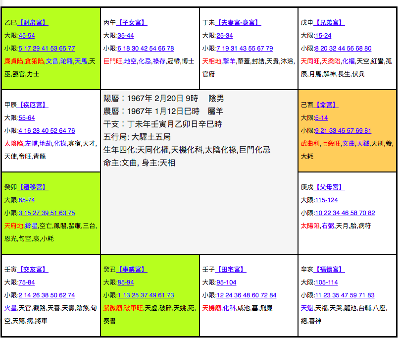 Zi Wei Dou Shu Chart Interpretation